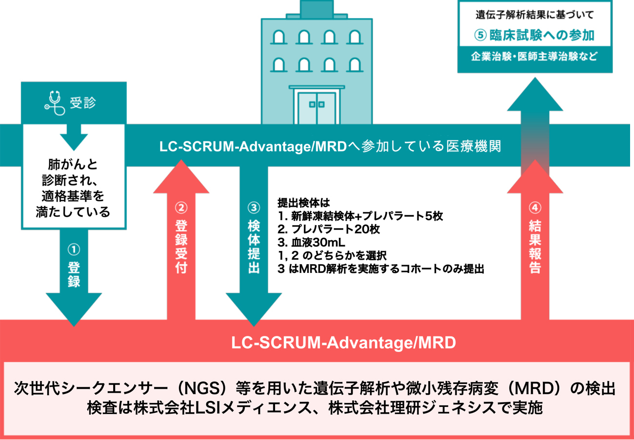 差し替え予定